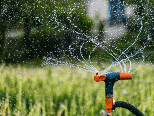 sprinkler with backflow prevention installed